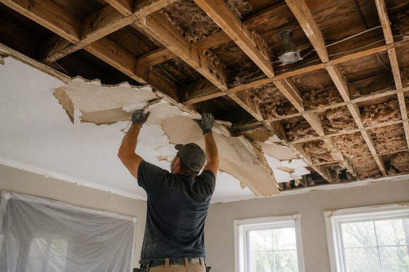 Ceiling Removal Service in Denver County, CO