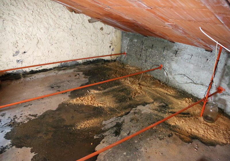 Attic Water Damage Repair in Littleton, CO