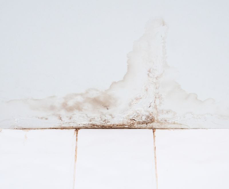 Bathroom Water Damage Repair in Denver, CO