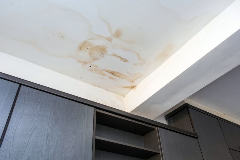 Ceiling Leak Repair Service in Conroe, TX