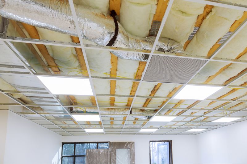 Ceiling Removal Service in Houston, TX