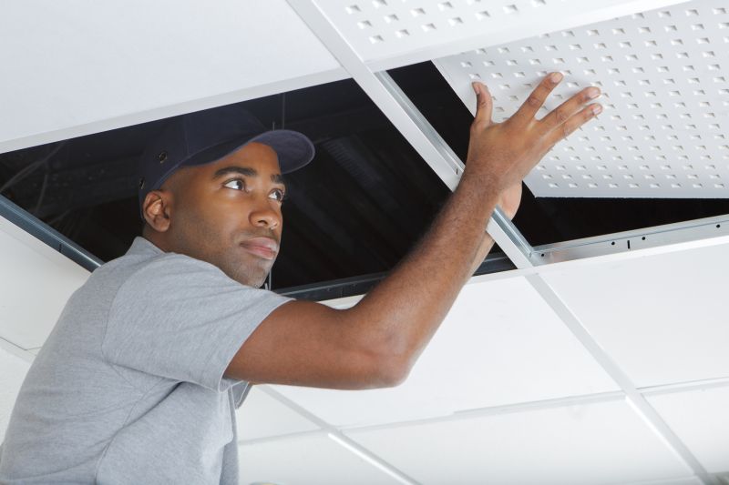 Ceiling Removal Service in Denver County, CO
