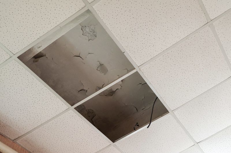 Ceiling Removal Service in Katy, TX