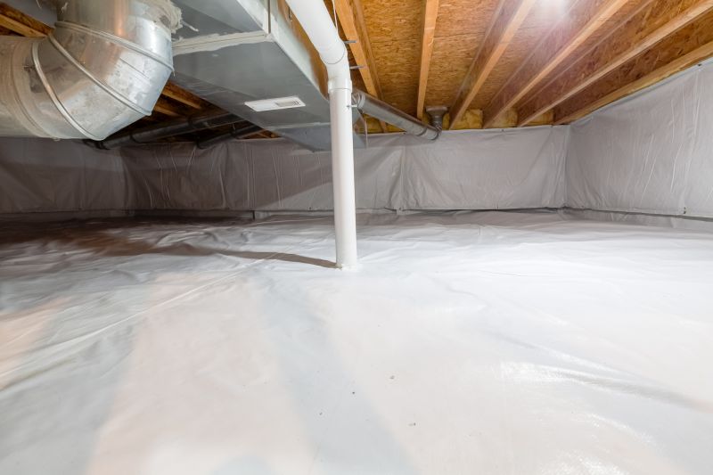 Crawl Space Remediation in Houston, TX