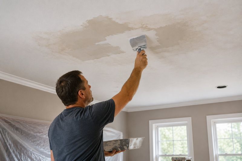 Leaking Ceiling Repair in Katy, TX