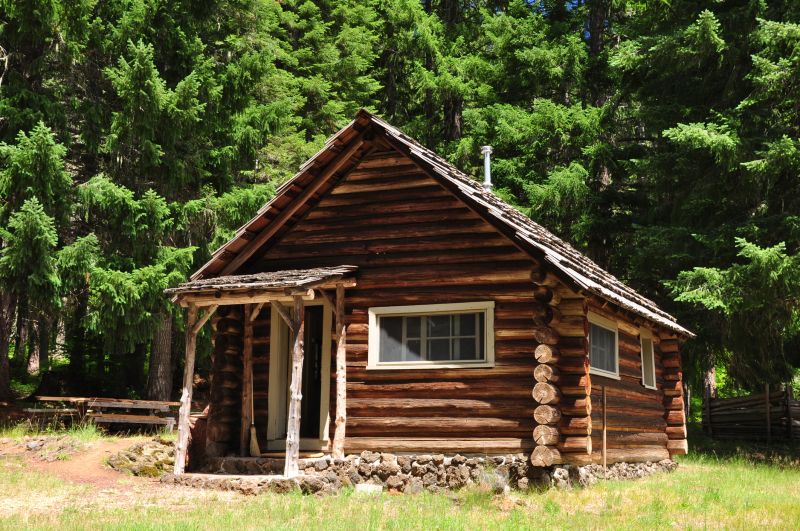 Log Home Repair in Conroe, TX