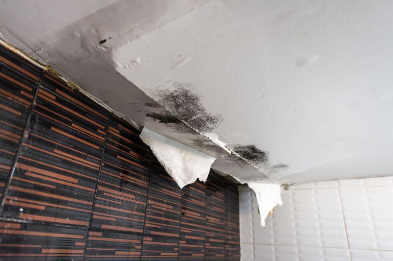 Water Damage Ceiling Repair in Houston, TX